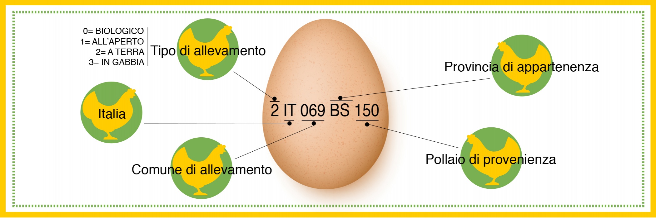 tracciabilità uova