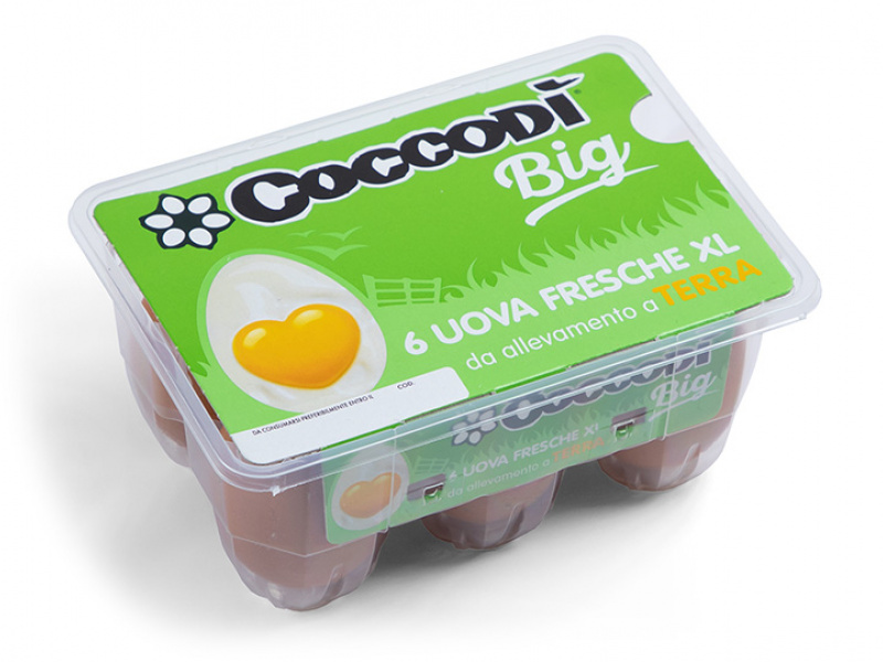 Coccodì Big 6 uova XL fresche