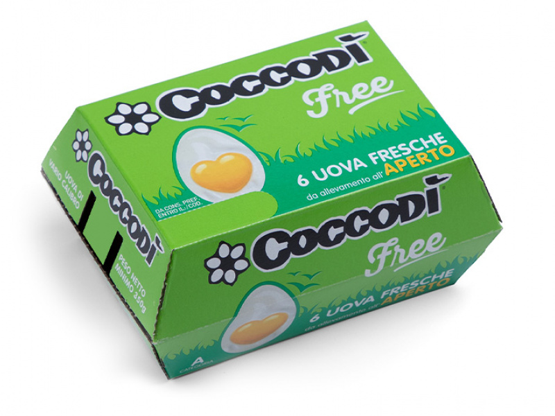 Coccodì Free 6 uova fresche