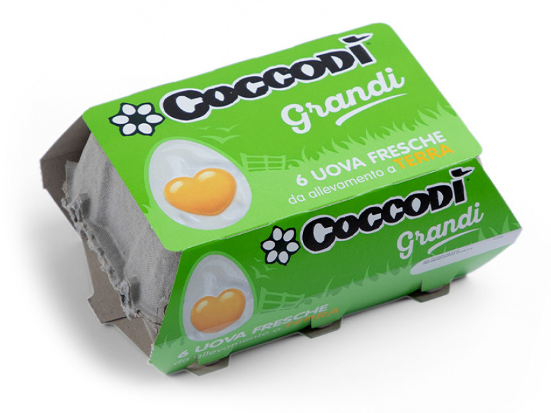 Coccodì 6 uova fresche grandi