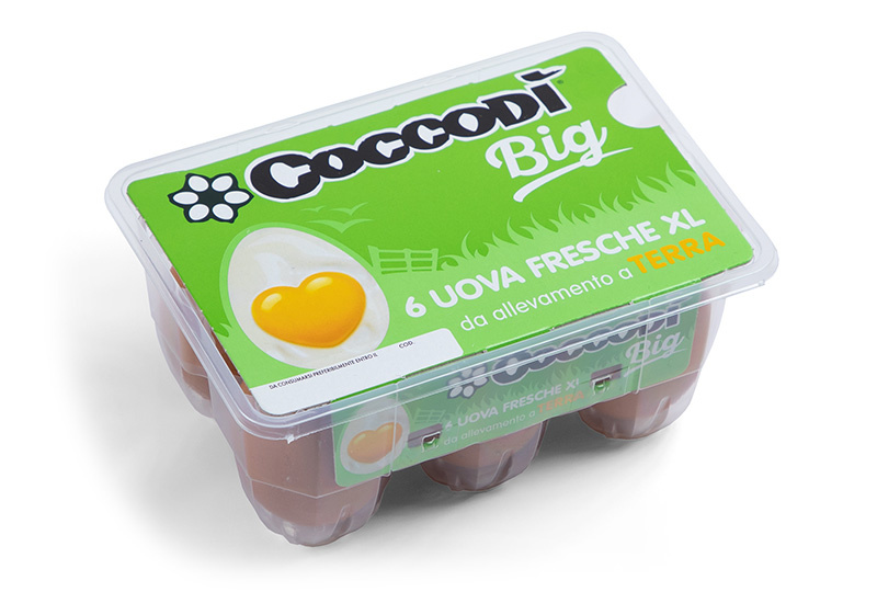 Coccodì Big 6 uova XL fresche