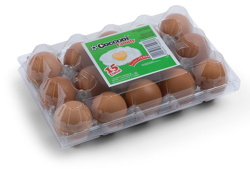 Coccodì Family 15 uova fresche medie