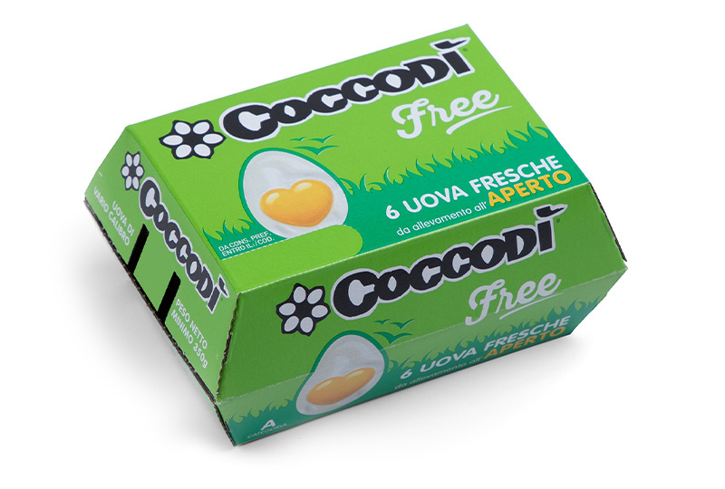 Coccodì Free 6 uova fresche