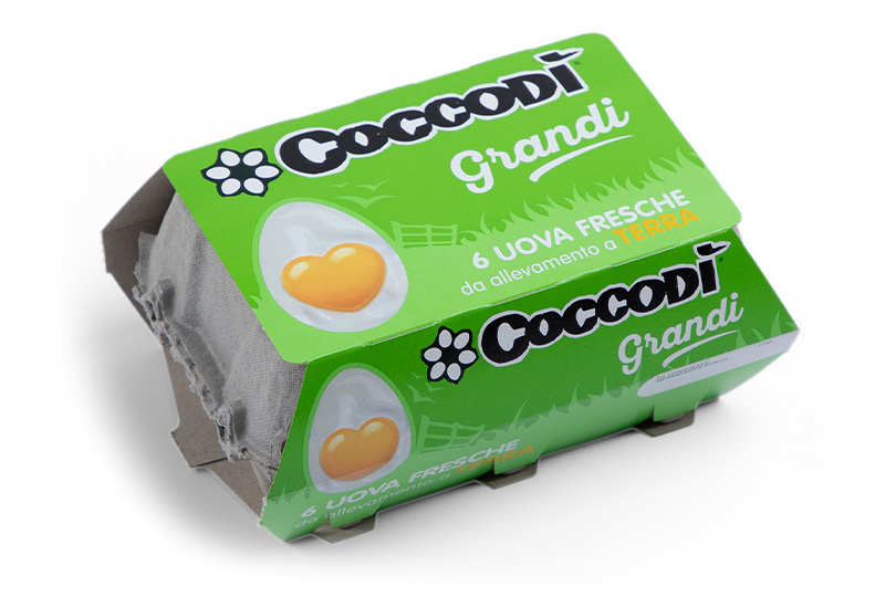 Coccodì 6 uova fresche grandi